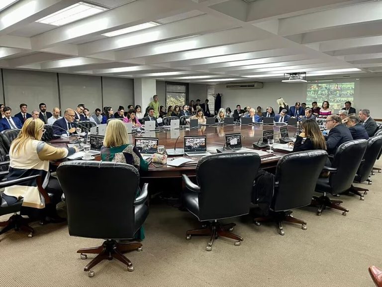 Suspendieron a dos empleados del Consejo de la Magistratura detenidos por presunto secuestro extorsivo Suspendieron a dos empleados del Consejo de la Magistratura detenidos por presunto secuestro extorsivo